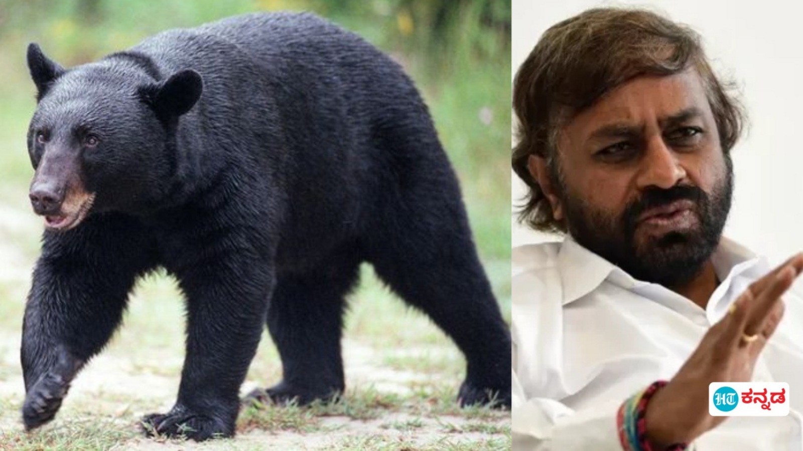 ಭದ್ರಾ, ಚಿತ್ರದುರ್ಗ ಉತ್ತರೆಗುಡ್ಡ, ಅರಸೀಕೆರೆ, ಕೊಪ್ಪಳ ಬಂಕಾಪುರ ವನ್ಯಜೀವಿಧಾಮ ಇನ್ನು ಪರಿಸರ ಸೂಕ್ಷ್ಮ ವಲಯ: ಇಲ್ಲಿ ಮರ ಕಡಿಯಲು ಬೇಕು ಅನುಮತಿ