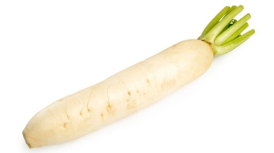 ಜನರು ವಿಶೇಷವಾಗಿ ಚಳಿಗಾಲದಲ್ಲಿ ಮೂಲಂಗಿ ಸೊಪ್ಪು, ಮೂಲಂಗಿ ಪರೋಟ ಮತ್ತು ಮೂಲಂಗಿ ಸಲಾಡ್ ತಿನ್ನಲು ಇಷ್ಟಪಡುತ್ತಾರೆ. ಬೇರುಗಳು ಉತ್ಕರ್ಷಣ ನಿರೋಧಕಗಳು, ಜೀವಸತ್ವಗಳು, ಖನಿಜಗಳು ಮತ್ತು ಫೈಟೊನ್ಯೂಟ್ರಿಯೆಂಟ್ಗಳನ್ನು ಹೊಂದಿರುತ್ತವೆ. ಜನರು ವಿಶೇಷವಾಗಿ ಚಳಿಗಾಲದಲ್ಲಿ ಮೂಲಂಗಿ ಸೊಪ್ಪು, ಮೂಲಂಗಿ ಪರೋಟ ಮತ್ತು ಮೂಲಂಗಿ ಸಲಾಡ್ ತಿನ್ನಲು ಇಷ್ಟಪಡುತ್ತಾರೆ. ಬೇರುಗಳು ಉತ್ಕರ್ಷಣ ನಿರೋಧಕಗಳು, ಜೀವಸತ್ವಗಳು, ಖನಿಜಗಳು ಮತ್ತು ಫೈಟೊನ್ಯೂಟ್ರಿಯೆಂಟ್ಗಳನ್ನು ಹೊಂದಿರುತ್ತವೆ.