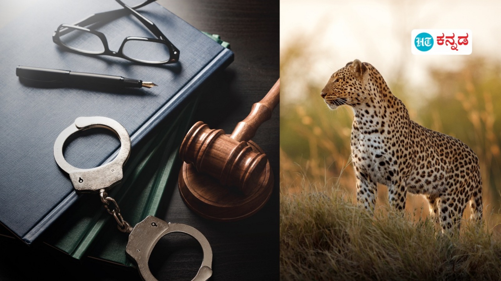 ಬೆಂಗಳೂರಿನ ಬ್ಯಾಂಕ್‌ ಮ್ಯಾನೇಜರ್‌ ಲಾಕರ್‌ಗೆ ಕನ್ನ, ಕದ್ದವರು ಯಾರು ಅನ್ನೋದು ನಿಗೂಢ; ಹೆಸರಘಟ್ಟ ಸುತ್ತಮುತ್ತ ಶುರುವಾಗಿದೆ ಚಿರತೆ ಕಾಟ