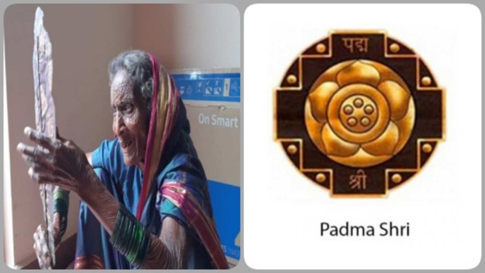 ಕೊಪ್ಪಳದ ತೊಗಲುಗೊಂಬೆಯಾಟ ಕಲಾವಿದೆ 96 ವರ್ಷದ ಭೀಮವ್ವಗೆ ಪದ್ಮಶ್ರೀ ಪ್ರಶಸ್ತಿ ಗೌರವ; 7 ದಶಕಗಳ ಕಲಾ ಕೃಷಿಯಲ್ಲಿ ಭೀಮವ್ವರ ಹಾದಿ ಹೀಗಿತ್ತು