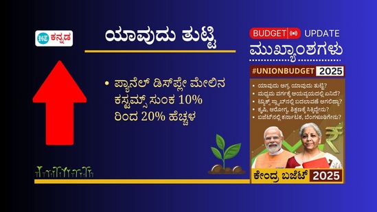 ಪ್ಯಾನೆಲ್ ಡಿಸ್‌ಪ್ಲೇ ಮೇಲಿನ ಕಸ್ಟಮ್ಸ್ ಸುಂಕವನ್ನು ಶೇ 10 ರಿಂದ 20ಕ್ಕೆ ಹೆಚ್ಚಳ ಮಾಡಲಾಗಿದೆ.&nbsp;