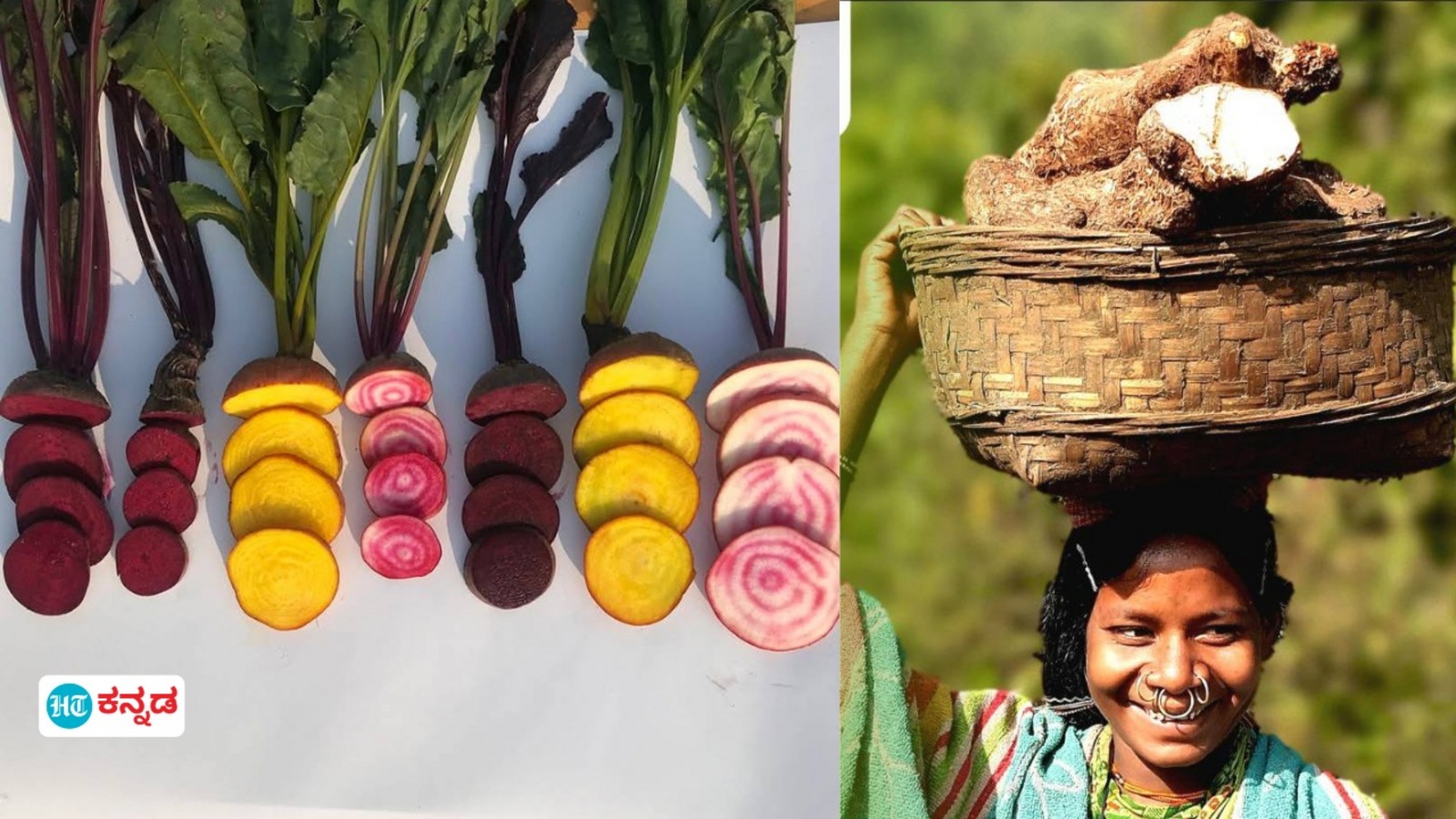 Mysore News: ಮೈಸೂರಿನಲ್ಲಿ ಇಂದಿನಿಂದ ಎರಡು ದಿನ ಬಣ್ಣ ಬಣ್ಣದ ಗೆಡ್ಡೆ ಮೇಳ; ಅಸ್ಸಾಂ, ಕೇರಳ, ಕರ್ನಾಟಕದ ಗೆಣಸಿನ ಬಗೆಬಗೆಯ ಅಡುಗೆ ಸವಿಯ ಬನ್ನಿ