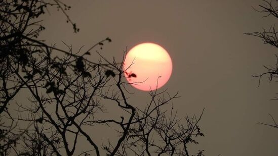 ಹಸಿರಿನ ಪ್ರಮಾಣ ಕಡಿಮೆಯಾಗಿ ಅಲ್ಲಲ್ಲಿ ಧೂಳಿನ ವಾತಾವರಣ. ಸೂರ್ಯನ ಪ್ರಭಾವದಿಂದ ನಾಗರಹೊಳೆಗೆ ಬರುವ ಪ್ರವಾಸಿಗರು ಸುಸ್ತಾಗುವ ಸನ್ನಿವೇಶವೂ ಇದೆ.