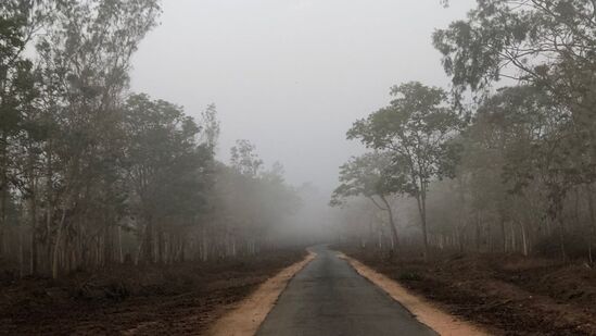 ಬೇಸಿಗೆ ಕಾಲ ಶುರುವಾಗಿದೆ. ನಾಗರಹೊಳೆ ಅರಣ್ಯ ಪ್ರದೇಶದಲ್ಲಿ ಕಾಡಿನ ಬೆಂಕಿ ತಡೆಗೆ ಸಿದ್ದತೆ ಮಾಡಿಕೊಳ್ಳಲಾಗಿದೆ. ಬೇಸಿಗೆ ಕಾಲದ ನೋಟ ಹೀಗಿದೆ.
