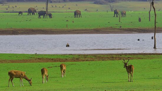 ಕೇರಳ ಹಾಗೂ ಮೈಸೂರು ಜಿಲ್ಲೆಗೆ ಹೊಂದಿಕೊಂಡ ಕಬಿನಿ ಹಿನ್ನೀರೇ ಬಹುತೇಕ ವನ್ಯಜೀವಿಗಳಿಗೆ ನೀರಿಗೆ ಆಸರೆ. ಇತ್ತ ಕಡೆಯೇ ಪ್ರಾಣಿಗಳು ನೀರು ಹುಡುಕಿಕೊಂಡು ಬರುತ್ತಿವೆ.&nbsp;
