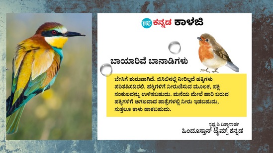 ಬಾಯಾರಿವೆ ಬಾನಾಡಿಗಳು: ಬೇಸಿಗೆ ಶುರುವಾಗಿದೆ. ಬಿಸಿಲಿನಲ್ಲಿ ನೀರಿಲ್ಲದೆ ಹಕ್ಕಿಗಳು ಪರಿತಪಿಸದಿರಲಿ. ಹಕ್ಕಿಗಳಿಗೆ ನೀರುಣಿಸುವ ಮೂಲಕ, ಪಕ್ಷಿ ಸಂಕುಲವನ್ನು ಉಳಿಸಬಹುದು. ಮನೆಯ ಮೇಲೆ ಹಾರಿ ಬರುವ ಹಕ್ಕಿಗಳಿಗೆ ಅಗಲವಾದ ಪಾತ್ರೆಗಳಲ್ಲಿ ನೀರು ಇಡಬಹುದು, ಸುತ್ತಲೂ ಕಾಳು ಹಾಕಬಹುದು. ಬಾಯಾರಿವೆ ಬಾನಾಡಿಗಳು: ಬೇಸಿಗೆ ಶುರುವಾಗಿದೆ. ಬಿಸಿಲಿನಲ್ಲಿ ನೀರಿಲ್ಲದೆ ಹಕ್ಕಿಗಳು ಪರಿತಪಿಸದಿರಲಿ. ಹಕ್ಕಿಗಳಿಗೆ ನೀರುಣಿಸುವ ಮೂಲಕ, ಪಕ್ಷಿ ಸಂಕುಲವನ್ನು ಉಳಿಸಬಹುದು. ಮನೆಯ ಮೇಲೆ ಹಾರಿ ಬರುವ ಹಕ್ಕಿಗಳಿಗೆ ಅಗಲವಾದ ಪಾತ್ರೆಗಳಲ್ಲಿ ನೀರು ಇಡಬಹುದು, ಸುತ್ತಲೂ ಕಾಳು ಹಾಕಬಹುದು.