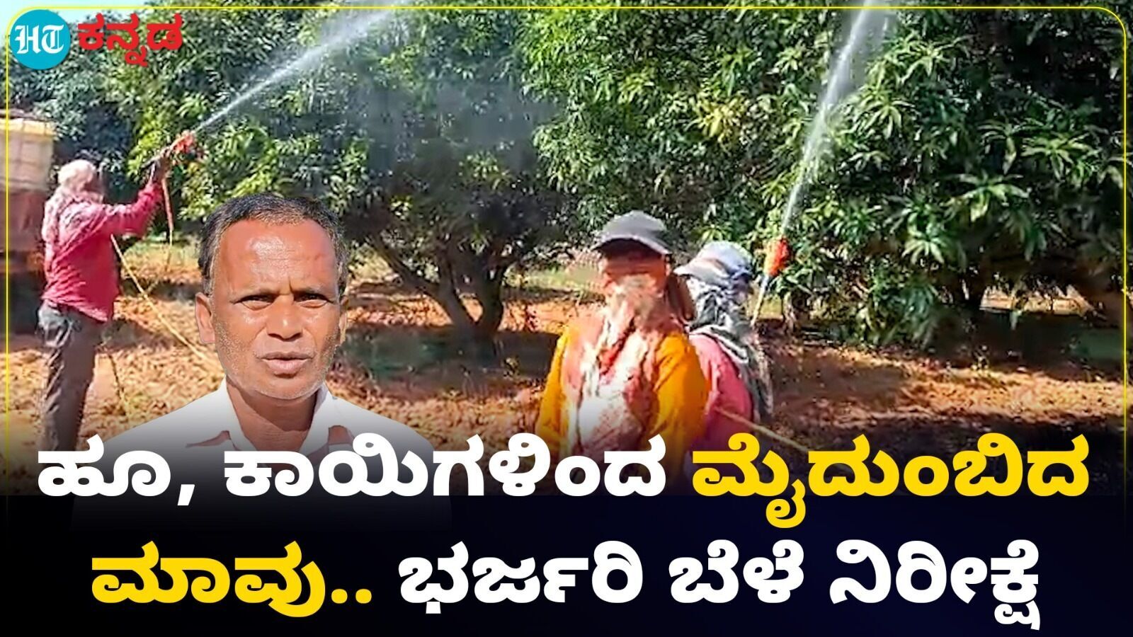 Mango season: ಅವಧಿಗೂ ಮೊದಲೇ ಕಾಯಿ ಕಟ್ಟಿದ ಮಾವು, ಬಂಪರ್ ಬೆಳೆಯ ನಿರೀಕ್ಷೆಯಲ್ಲಿ ಕೋಲಾರ ರೈತರು