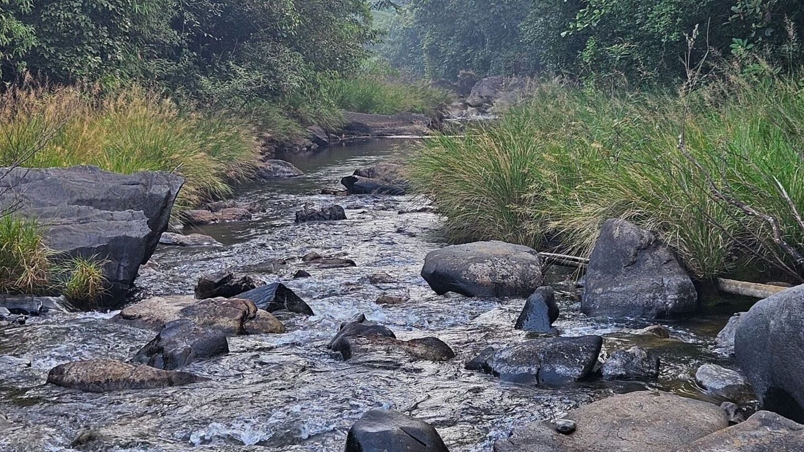 Summer Travel: ಬಿರು ಬಿಸಿಲಲ್ಲೂ ಕೈಬೀಸಿ ಕರೆಯುವ ಕೂಲ್‌ ಕುದುರೆಮುಖ ಹೀಗಿದೆ ನೋಡಿ