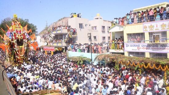 ರಥೋತ್ಸವದಲ್ಲಿ ಪಾಲ್ಗೊಳ್ಳಲು ಬಂದ ಭಕ್ತಾದಿಗಳಿಗೆ ಅಲ್ಲಲ್ಲಿ ಕೊಪ್ಪಲು ಹಾಕಿಕೊಂಡಿದ್ದ ಭಕ್ತರು ಪಾನಕ, ಮಜ್ಜಿಗೆ ನೀಡಿ ಅವರ ದಣಿವನ್ನು ತಣಿಸಿದರು, ಹಾಗೆಯೇ ದೇವಾಲಯದ ವತಿಯಿಂದಲೂ&nbsp;ಭಕ್ತಾದಿಗಳಿಗಾಗಿ ಪ್ರಸಾದ ವಿನಿಯೋಗದ ವ್ಯವಸ್ಥೆ ಮಾಡಲಾಗಿತ್ತು, ರಥೋತ್ಸವದಲ್ಲಿ ರಾಜ್ಯದ ವಿವಿಧೆಡೆಗಳಿಂದ ಸಹಸ್ರಾರು ಭಕ್ತಾದಿಗಳು ಪಾಲ್ಗೊಂಡು ಸಂಭ್ರಮಿಸಿದರು.
