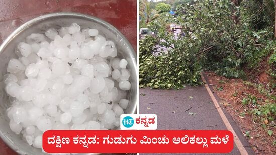 ದಕ್ಷಿಣ ಕನ್ನಡ: ಬೆಳ್ತಂಗಡಿ ಸುತ್ತಮುತ್ತ ಗುಡುಗು ಮಿಂಚು ಸಹಿತ ಆಲಿಕಲ್ಲು ಮಳೆ, ಉಳಿದೆಡೆಯೂ ವರ್ಷಧಾರೆಯಾಗಿದೆ. ದಕ್ಷಿಣ ಕನ್ನಡ: ಬೆಳ್ತಂಗಡಿ ಸುತ್ತಮುತ್ತ ಗುಡುಗು ಮಿಂಚು ಸಹಿತ ಆಲಿಕಲ್ಲು ಮಳೆ, ಉಳಿದೆಡೆಯೂ ವರ್ಷಧಾರೆಯಾಗಿದೆ.