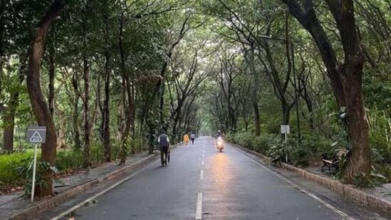 ಬೆಂಗಳೂರಿನ ರಸ್ತೆಗಳ ವಿಚಾರದಲ್ಲಿ ಬಿಬಿಎಂಪಿಗೆ ಹೆಚ್ಚಿನ ಅಧಿಕಾರ ನೀಡಲಾಗಿದೆ. ಬೆಂಗಳೂರಿನ ರಸ್ತೆಗಳ ವಿಚಾರದಲ್ಲಿ ಬಿಬಿಎಂಪಿಗೆ ಹೆಚ್ಚಿನ ಅಧಿಕಾರ ನೀಡಲಾಗಿದೆ.