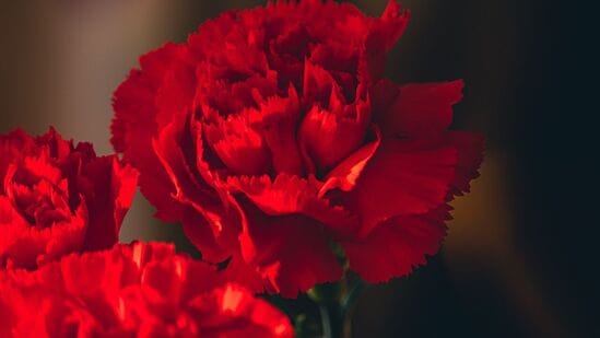 ಹೆಚ್ಚಿನ ಗಮನ: ಕೆಂಪು ಬಣ್ಣವು ಇತರ ಬಣ್ಣಗಳಿಗಿಂತ ಹೆಚ್ಚು ಗಮನ ಸೆಳೆಯುತ್ತದೆ. ಇದು ಎಚ್ಚರಿಕೆಗೆ ಅಗತ್ಯವಿರುವ ಕಾರ್ಯಗಳಿಗೆ ಪ್ರಯೋಜನಕಾರಿಯಾಗಿದೆ. ಇದನ್ನು ಹೆಚ್ಚಾಗಿ ಎಚ್ಚರಿಕೆ ಚಿಹ್ನೆಗಳು, ಸ್ಟಾಪ್ ದೀಪಗಳು ಮತ್ತು ತಕ್ಷಣದ ಗಮನ ಅಗತ್ಯವಿರುವ ಇತರ ಸಂದರ್ಭಗಳಲ್ಲಿ ಬಳಸಲಾಗುತ್ತದೆ. ಹೆಚ್ಚಿನ ಗಮನ: ಕೆಂಪು ಬಣ್ಣವು ಇತರ ಬಣ್ಣಗಳಿಗಿಂತ ಹೆಚ್ಚು ಗಮನ ಸೆಳೆಯುತ್ತದೆ. ಇದು ಎಚ್ಚರಿಕೆಗೆ ಅಗತ್ಯವಿರುವ ಕಾರ್ಯಗಳಿಗೆ ಪ್ರಯೋಜನಕಾರಿಯಾಗಿದೆ. ಇದನ್ನು ಹೆಚ್ಚಾಗಿ ಎಚ್ಚರಿಕೆ ಚಿಹ್ನೆಗಳು, ಸ್ಟಾಪ್ ದೀಪಗಳು ಮತ್ತು ತಕ್ಷಣದ ಗಮನ ಅಗತ್ಯವಿರುವ ಇತರ ಸಂದರ್ಭಗಳಲ್ಲಿ ಬಳಸಲಾಗುತ್ತದೆ.