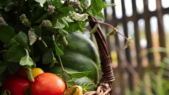 ಟೊಮೆಟೊದಲ್ಲಿರುವ ಪೊಟ್ಯಾಸಿಯಮ್ ಖನಿಜ ಅಂಶವು ಹೆಚ್ಚಿನ ಒತ್ತಡವನ್ನು ಕಾಪಾಡಿಕೊಳ್ಳುವುದರಿಂದ ಹೃದಯಕ್ಕೆ ತುಂಬಾ ಒಳ್ಳೆಯದು. ಅಧಿಕ ರಕ್ತದೊತ್ತಡದ ಸಮಸ್ಯೆ ಇರುವವರು ನಿಯಮಿತವಾಗಿ ಟೊಮೆಟೊ ಸೇವಿಸುವ ಮೂಲಕ ರಕ್ತದೊತ್ತಡವನ್ನು ನಿಯಂತ್ರಿಸಬಹುದು. ಟೊಮೆಟೊದಲ್ಲಿರುವ ಪೊಟ್ಯಾಸಿಯಮ್ ಖನಿಜ ಅಂಶವು ಹೆಚ್ಚಿನ ಒತ್ತಡವನ್ನು ಕಾಪಾಡಿಕೊಳ್ಳುವುದರಿಂದ ಹೃದಯಕ್ಕೆ ತುಂಬಾ ಒಳ್ಳೆಯದು. ಅಧಿಕ ರಕ್ತದೊತ್ತಡದ ಸಮಸ್ಯೆ ಇರುವವರು ನಿಯಮಿತವಾಗಿ ಟೊಮೆಟೊ ಸೇವಿಸುವ ಮೂಲಕ ರಕ್ತದೊತ್ತಡವನ್ನು ನಿಯಂತ್ರಿಸಬಹುದು.