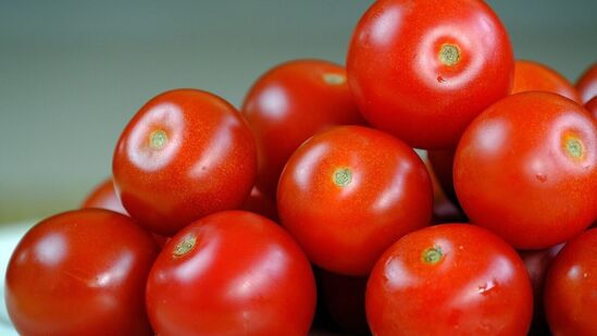 ಅನೇಕ ಜನರು ಅಜೀರ್ಣ ಮತ್ತು ಅಸಿಡಿಟಿಯಿಂದ ಬಳಲುತ್ತಿದ್ದಾರೆ. ಟೊಮೆಟೊದ ಹೆಚ್ಚಿನ ಫೈಬರ್ ಅಂಶ ಈ ಸಮಸ್ಯೆಯಿಂದ ಪರಿಹಾರವನ್ನು ನೀಡುತ್ತದೆ. ಹೆಚ್ಚಿನ ಮಟ್ಟದ ಫೈಬರ್ ಕರುಳಿನ ಕಾರ್ಯವನ್ನು ಸರಾಗವಾಗಿರಿಸುತ್ತದೆ. ಪರಿಣಾಮವಾಗಿ, ಮಲಬದ್ಧತೆ ಸಮಸ್ಯೆಗಳು ಕಡಿಮೆಯಾಗುತ್ತವೆ. ಅನೇಕ ಜನರು ಅಜೀರ್ಣ ಮತ್ತು ಅಸಿಡಿಟಿಯಿಂದ ಬಳಲುತ್ತಿದ್ದಾರೆ. ಟೊಮೆಟೊದ ಹೆಚ್ಚಿನ ಫೈಬರ್ ಅಂಶ ಈ ಸಮಸ್ಯೆಯಿಂದ ಪರಿಹಾರವನ್ನು ನೀಡುತ್ತದೆ. ಹೆಚ್ಚಿನ ಮಟ್ಟದ ಫೈಬರ್ ಕರುಳಿನ ಕಾರ್ಯವನ್ನು ಸರಾಗವಾಗಿರಿಸುತ್ತದೆ. ಪರಿಣಾಮವಾಗಿ, ಮಲಬದ್ಧತೆ ಸಮಸ್ಯೆಗಳು ಕಡಿಮೆಯಾಗುತ್ತವೆ.