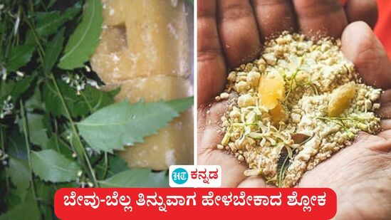 ಯುಗಾದಿಯ ದಿನ ಬೇವು - ಬೆಲ್ಲ ತಿನ್ನುವಾಗ ಹೇಳಬೇಕಾದ ಶ್ಲೋಕ, ಅದರ ಅರ್ಥ ಮತ್ತು ಮಹತ್ವ (ಸಾಂಕೇತಿಕ ಚಿತ್ರ) ಯುಗಾದಿಯ ದಿನ ಬೇವು - ಬೆಲ್ಲ ತಿನ್ನುವಾಗ ಹೇಳಬೇಕಾದ ಶ್ಲೋಕ, ಅದರ ಅರ್ಥ ಮತ್ತು ಮಹತ್ವ (ಸಾಂಕೇತಿಕ ಚಿತ್ರ)