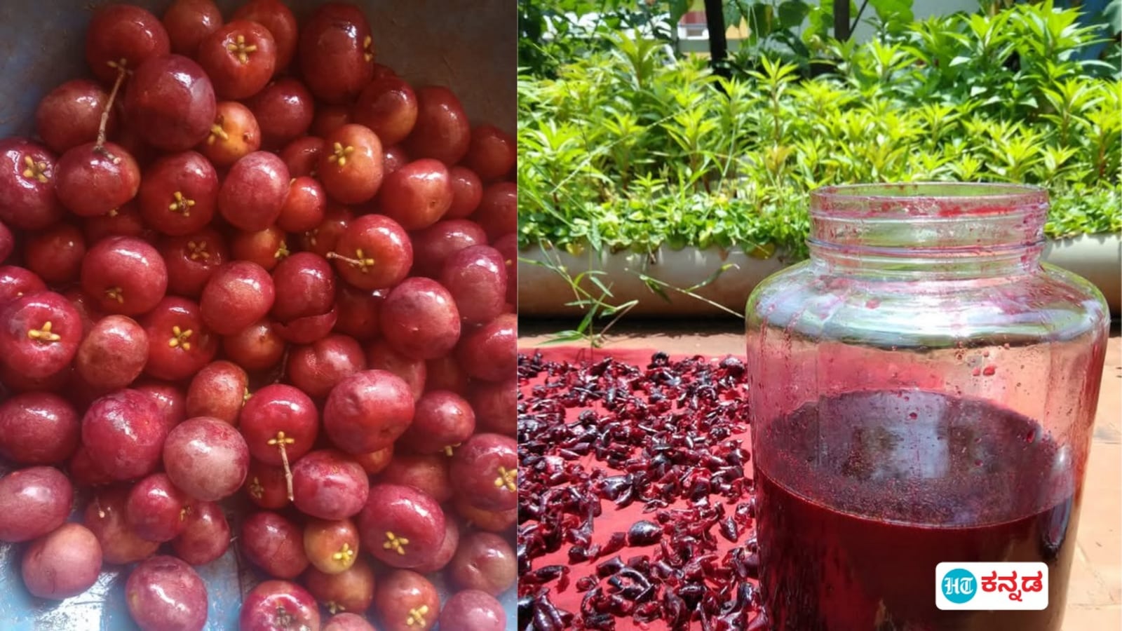 Summer Drinks: ಬಿಸಿಲ ಬೇಗೆಗೆ ದೇಹಕ್ಕೆ ತಂಪೆರೆಯುವ ಪುನರ್ಪುಳಿ; ದರ ಮಾತ್ರ ದುಬಾರಿ, ಆದರೆ ಬಹೂಪಯೋಗಿ ಕೋಕಂ