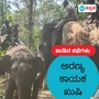 ಮಕ್ಕಳು ಜನಿಸಿದ್ದರೂ ಆನೆ ಸೆರೆ ಕಾರ್ಯಾಚರಣೆಯಲ್ಲಿ ಭಾಗಿಯಾಗಿ ಬದ್ದತೆ ಮೆರೆದ ಐಎಫ್ಎಸ್ ಅಧಿಕಾರಿ ವಿ.ಏಡುಕೊಂಡಲು ಮಕ್ಕಳು ಜನಿಸಿದ್ದರೂ ಆನೆ ಸೆರೆ ಕಾರ್ಯಾಚರಣೆಯಲ್ಲಿ ಭಾಗಿಯಾಗಿ ಬದ್ದತೆ ಮೆರೆದ ಐಎಫ್ಎಸ್ ಅಧಿಕಾರಿ ವಿ.ಏಡುಕೊಂಡಲು
