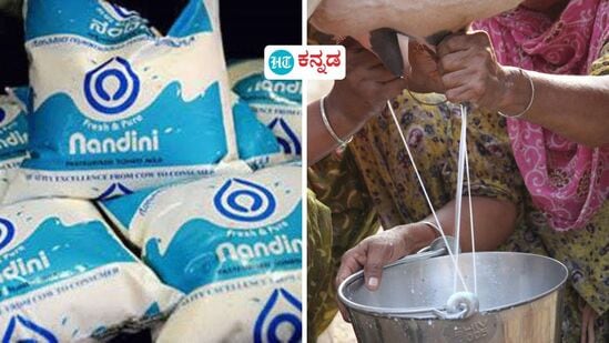 ಕೆಎಂಎಫ್ ನಂದಿನಿ ಹಾಲು ಮತ್ತು ಮೊಸರುಗಳ ಬೆಲೆ ಏರಿಕೆ ಬಗ್ಗೆ ತೀವ್ರ ಆಕ್ಷೇಪ ವ್ಯಕ್ತವಾಗಿದೆ. (ಸಾಂಕೇತಿಕ ಚಿತ್ರ) ಕೆಎಂಎಫ್ ನಂದಿನಿ ಹಾಲು ಮತ್ತು ಮೊಸರುಗಳ ಬೆಲೆ ಏರಿಕೆ ಬಗ್ಗೆ ತೀವ್ರ ಆಕ್ಷೇಪ ವ್ಯಕ್ತವಾಗಿದೆ. (ಸಾಂಕೇತಿಕ ಚಿತ್ರ)
