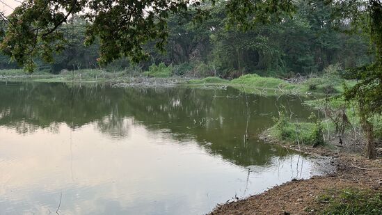 ಉತ್ತಮ ಮಳೆಯಿಂದ ಮೈಸೂರಿನ ಕುಕ್ಕರಹಳ್ಳಿ ಕೆರೆ ಈಗಲೂ ಹಸಿರಾಗಿದೆ. ಉತ್ತಮ ಮಳೆಯಿಂದ ಮೈಸೂರಿನ ಕುಕ್ಕರಹಳ್ಳಿ ಕೆರೆ ಈಗಲೂ ಹಸಿರಾಗಿದೆ.