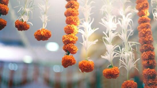 ನಿಮಗೆ ಮತ್ತು ನಿಮ್ಮ ಕುಟುಂಬಕ್ಕೆ ನಗು, ಪ್ರೀತಿ ಮತ್ತು ಸಮೃದ್ಧಿಯಿಂದ ತುಂಬಿದ ಆನಂದದಾಯಕ ಯುಗಾದಿಯ ಶುಭಾಶಯಗಳು. ಹೊಸ ವರ್ಷದ ಶುಭಾಶಯಗಳು.