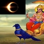 ಸೂರ್ಯ ಗ್ರಹಣ ಮತ್ತು ಶನಿ ಅವಾಮಾಸ್ಯೆ ಒಂದೇ ದಿನ ಸಂಭವಿಸಲಿದೆ. ಈ ದಿನ ಏನು ಮಾಡಬೇಕು ಮತ್ತು ಏನು ಮಾಡಬಾರದು ಎಂಬುದನ್ನು ತಿಳಿಯೋಣ ಸೂರ್ಯ ಗ್ರಹಣ ಮತ್ತು ಶನಿ ಅವಾಮಾಸ್ಯೆ ಒಂದೇ ದಿನ ಸಂಭವಿಸಲಿದೆ. ಈ ದಿನ ಏನು ಮಾಡಬೇಕು ಮತ್ತು ಏನು ಮಾಡಬಾರದು ಎಂಬುದನ್ನು ತಿಳಿಯೋಣ