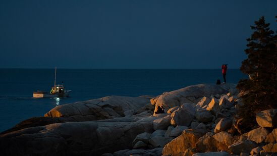 ಒಂದು ಕ್ಷಣ, ಸೂರ್ಯನು ಚಂದ್ರನ ನೆರಳಿಗೆ ಶರಣಾಗುತ್ತಿದ್ದಂತೆ ಕ್ಷಣಿಕ ಕತ್ತಲೆಯ ಮೌನದಲ್ಲಿ, ಬ್ರಹ್ಮಾಂಡದ ಶಾಂತ, ಬೆರಗುಗೊಳಿಸುವ ಶಕ್ತಿ ಹೀಗೆ ಗೋಚರಿಸಿತು. ಒಂದು ಕ್ಷಣ, ಸೂರ್ಯನು ಚಂದ್ರನ ನೆರಳಿಗೆ ಶರಣಾಗುತ್ತಿದ್ದಂತೆ ಕ್ಷಣಿಕ ಕತ್ತಲೆಯ ಮೌನದಲ್ಲಿ, ಬ್ರಹ್ಮಾಂಡದ ಶಾಂತ, ಬೆರಗುಗೊಳಿಸುವ ಶಕ್ತಿ ಹೀಗೆ ಗೋಚರಿಸಿತು.