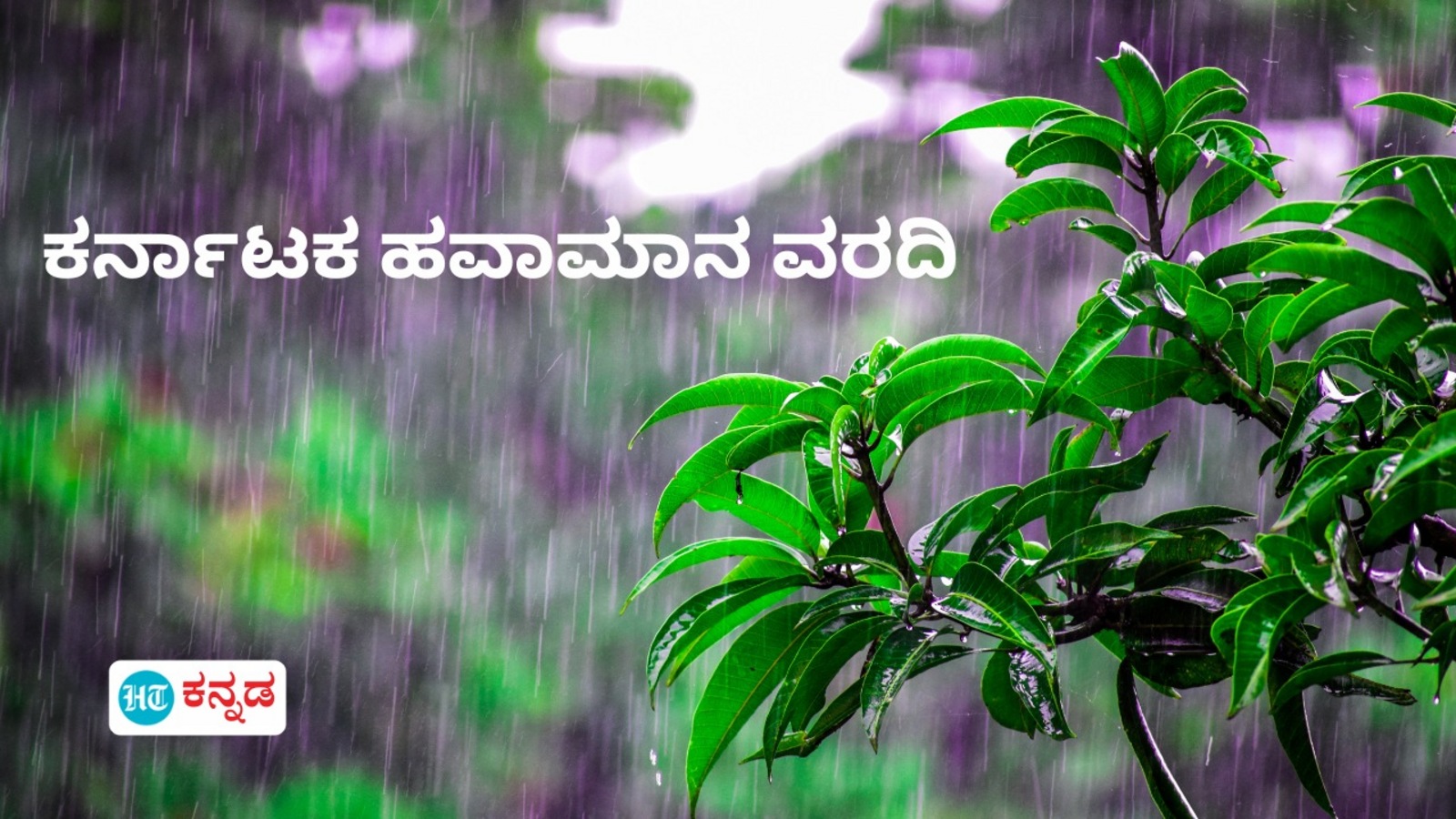 ಕರ್ನಾಟಕ ಹವಾಮಾನ ವರದಿ: ಇಂದು ಬಹುತೇಕ ಒಣಹವೆ; ಉಡುಪಿ, ಉತ್ತರ ಕನ್ನಡ ಸೇರಿದಂತೆ ಇನ್ನೂ ಕೆಲ ಜಿಲ್ಲೆಗಳಲ್ಲಿ ಹಗುರ ಮಳೆ