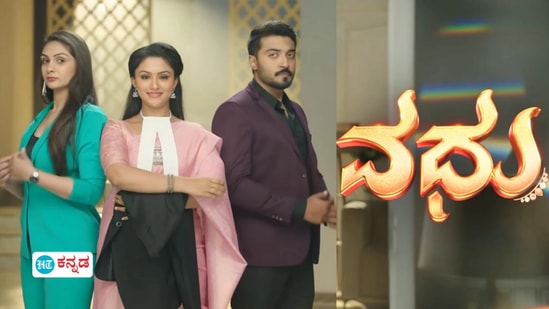 ಶುರುವಾದ ಆರೇ ತಿಂಗಳಿಗೆ ಮುಕ್ತಾಯವಾಗ್ತಿದೆ ಡಿವೋರ್ಸ್ ಲಾಯರ್ ಮದುವೆ ಕಥೆ ಶುರುವಾದ ಆರೇ ತಿಂಗಳಿಗೆ ಮುಕ್ತಾಯವಾಗ್ತಿದೆ ಡಿವೋರ್ಸ್ ಲಾಯರ್ ಮದುವೆ ಕಥೆ