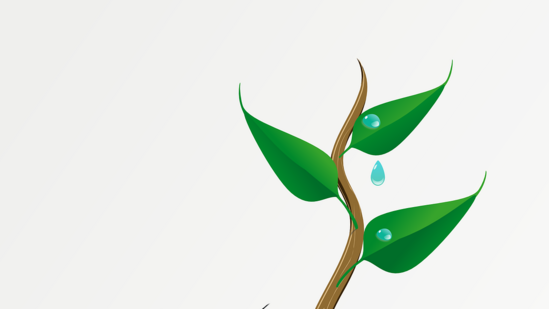 ಗಿಡವನ್ನು ನೋಡಿಕೊಳ್ಳಿ-ಒಂದು ಮರವನ್ನು ನೆಡಿ, ಅದನ್ನು ನೋಡಿಕೊಳ್ಳಿ ಮತ್ತು ಬೆಳೆಯಲು ಸಹಾಯ ಮಾಡಿ. ಅವನು ಬೆಳೆಯುವುದನ್ನು ನೋಡಿ ಮತ್ತು ಪ್ರತಿದಿನ ನಿಮ್ಮ ಆಸೆಗಳನ್ನು ಆ ಗಿಡಕ್ಕೆ ಹೇಳಿ.