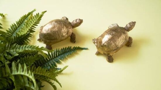 ಲೋಹದ ಆಮೆ-ಆಫೀಸ್ ಮೇಜಿನ ಮೇಲೆ ಲೋಹದ ಆಮೆ ​​ಇಡುವುದು ಶುಭವೆಂದು ಪರಿಗಣಿಸಲಾಗಿದೆ. ಹೀಗೆ ಮಾಡುವುದರಿಂದ ಜೀವನದಲ್ಲಿ ಸಂತೋಷ ಮತ್ತು ಸಮೃದ್ಧಿ ಬರುತ್ತದೆ ಎಂದು ಹೇಳಲಾಗುತ್ತದೆ. ಇದನ್ನು ಯಾವಾಗಲೂ ಆಫೀಸ್ ಟೇಬಲ್ ಮೇಲೆ ಉತ್ತರ ದಿಕ್ಕಿನಲ್ಲಿ ಇಡಬೇಕು.