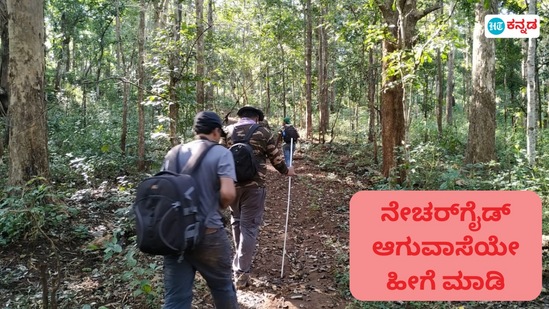 ನೇಚರ್ ಗೈಡ್ ಆಸಕ್ತಿಯದ್ದರೆ ಅರಣ್ಯ ಇಲಾಖೆ ತರಬೇತಿಯೊಂದಿಗೆ ಅವಕಾಶ ಕಲ್ಪಿಸಲಿದೆ. ನೇಚರ್ ಗೈಡ್ ಆಸಕ್ತಿಯದ್ದರೆ ಅರಣ್ಯ ಇಲಾಖೆ ತರಬೇತಿಯೊಂದಿಗೆ ಅವಕಾಶ ಕಲ್ಪಿಸಲಿದೆ.
