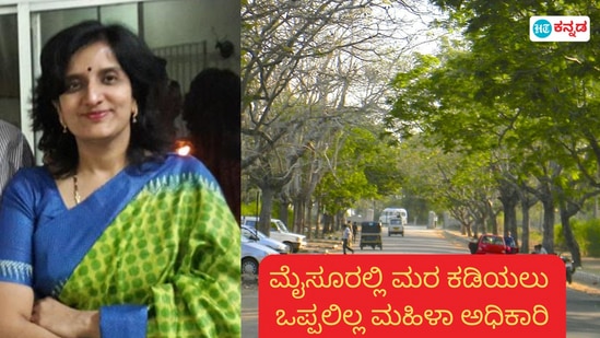 ಮೈಸೂರಿನಲ್ಲಿ ಮರ ಕಡಿಯಲು ಅನುಮತಿ ನೀಡದೇ ಮರ, ರಸ್ತೆ ವೈವಿಧ್ಯತೆ ಉಳಿಸಿದ್ದ ಐಎಫ್ಎಸ್ ಅಧಿಕಾರಿ ಶಾಶ್ವತಿ ಮಿಶ್ರ, ಮೈಸೂರಿನಲ್ಲಿ ಮರ ಕಡಿಯಲು ಅನುಮತಿ ನೀಡದೇ ಮರ, ರಸ್ತೆ ವೈವಿಧ್ಯತೆ ಉಳಿಸಿದ್ದ ಐಎಫ್ಎಸ್ ಅಧಿಕಾರಿ ಶಾಶ್ವತಿ ಮಿಶ್ರ,