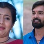 ಮುದ್ದು ಸೊಸೆ: ಮುದ್ದಿನ ಮೇಕೆಯನ್ನು ಉಳಿಸಿಕೊಡುವಂತೆ ಮನವಿ ಮಾಡಿದ ವಿದ್ಯಾ; ಮನದನ್ನೆಗೆ ಕೊಟ್ಟ ಮಾತು ಉಳಿಸಿಕೊಳ್ತಾನಾ ಭದ್ರೇಗೌಡ?