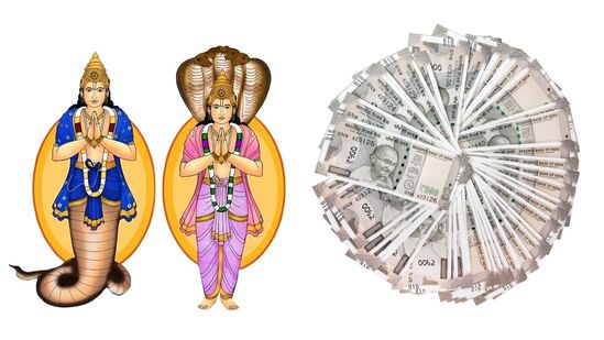 ಜ್ಯೋತಿಷ್ಯದ ಪ್ರಕಾರ ರಾಹು ಒಂಬತ್ತು ಗ್ರಹಗಳ ನೆರಳು ಗ್ರಹವಾಗಿದೆ. ಯಾವಾಗಲೂ ಹಿಮ್ಮುಖವಾಗಿ ಚಲಿಸುತ್ತಾನೆ. ರಾಹುವಿಗೆ ತನ್ನದೇ ಆದ ಚಿಹ್ನೆ ಇಲ್ಲ. ರಾಹು ಒಂದು ರಾಶಿಯಿಂದ ಮತ್ತೊಂದು ರಾಶಿಗೆ ಚಲಿಸಲು 18 ತಿಂಗಳುಗಳನ್ನು ತೆಗೆದುಕೊಳ್ಳುತ್ತಾನೆ.