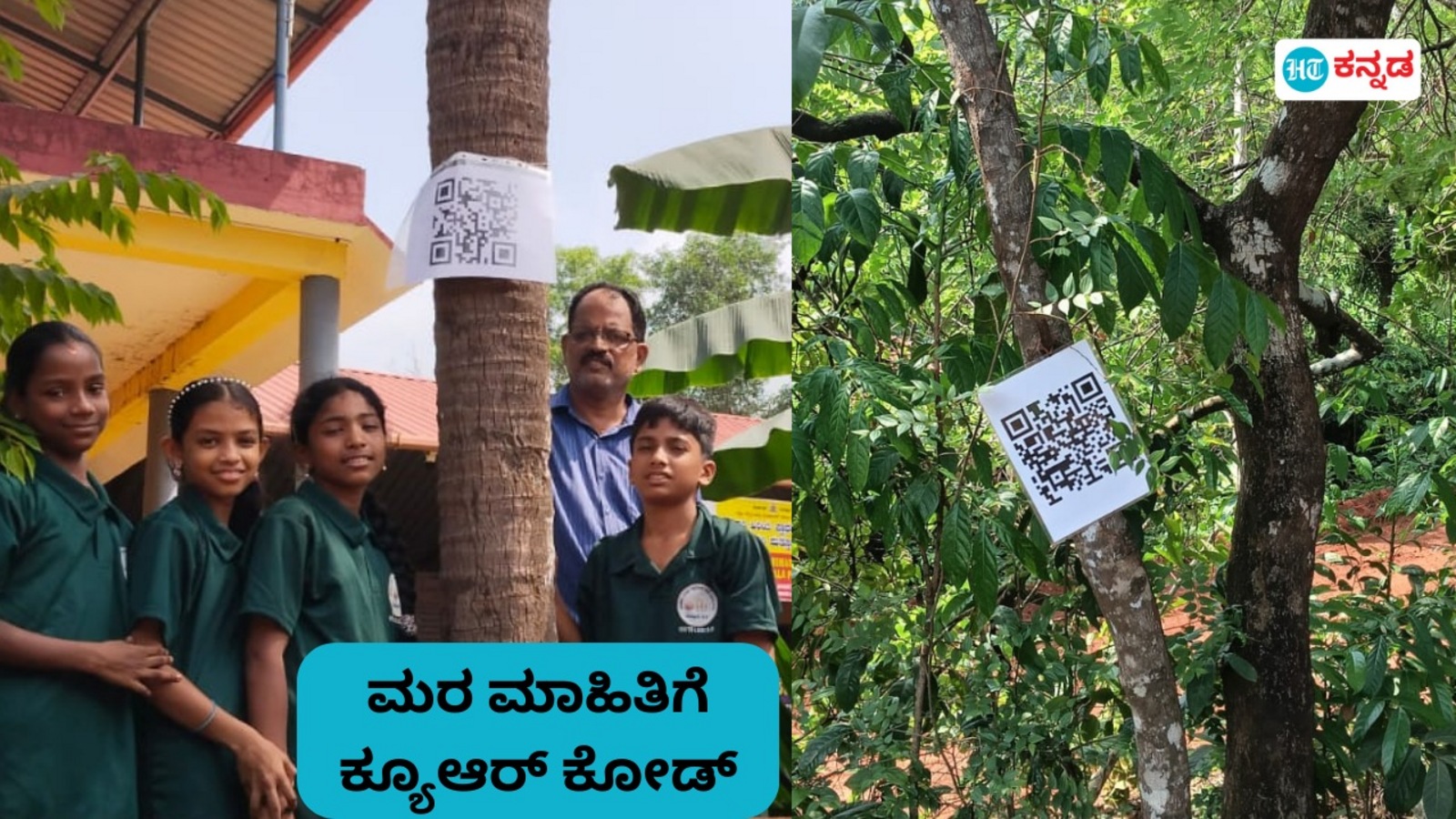 ಸಸ್ಯಪ್ರಬೇಧ ಕುರಿತು ತಿಳಿವಳಿಕೆ ಮೂಡಿಸಲು ಗಿಡ, ಮರಗಳಿಗೆ ಕ್ಯೂ ಆರ್ ಕೋಡ್; ದಕ್ಷಿಣಕನ್ನಡದಲ್ಲಿ ವಿಶಿಷ್ಟ ಪ್ರಯೋಗ