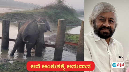 ವನ್ಯಜೀವಿ ಮಾನವ ಸಂಘರ್ಷ ನಿಯಂತ್ರಣಕ್ಕೆ ಹೆಚ್ಚುವರಿ ಹಣಕಾಸು ಒದಗಿಸಲು ಸಚಿವ ಸಂಪುಟ ಸಭೆ ಒಪ್ಪಿದೆ. ವನ್ಯಜೀವಿ ಮಾನವ ಸಂಘರ್ಷ ನಿಯಂತ್ರಣಕ್ಕೆ ಹೆಚ್ಚುವರಿ ಹಣಕಾಸು ಒದಗಿಸಲು ಸಚಿವ ಸಂಪುಟ ಸಭೆ ಒಪ್ಪಿದೆ.