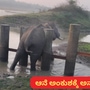 ವನ್ಯಜೀವಿ ಮಾನವ ಸಂಘರ್ಷ ನಿಯಂತ್ರಣಕ್ಕೆ ಹೆಚ್ಚುವರಿ ಹಣಕಾಸು ಒದಗಿಸಲು ಸಚಿವ ಸಂಪುಟ ಸಭೆ ಒಪ್ಪಿದೆ. ವನ್ಯಜೀವಿ ಮಾನವ ಸಂಘರ್ಷ ನಿಯಂತ್ರಣಕ್ಕೆ ಹೆಚ್ಚುವರಿ ಹಣಕಾಸು ಒದಗಿಸಲು ಸಚಿವ ಸಂಪುಟ ಸಭೆ ಒಪ್ಪಿದೆ.