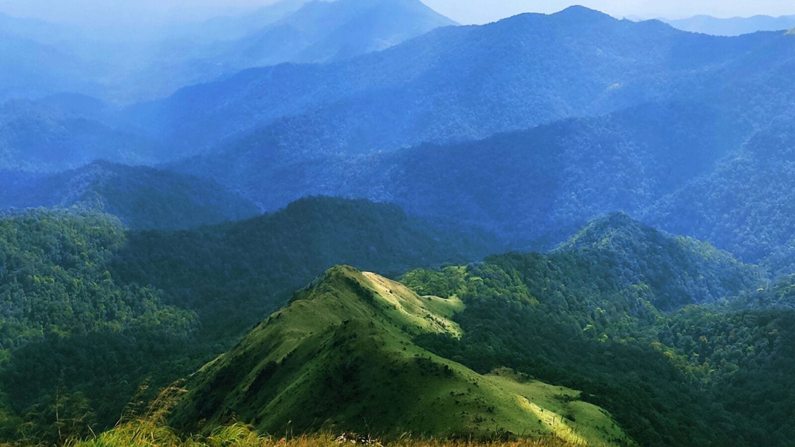 ಕಾಶ್ಮೀರದಲ್ಲಿ ಪ್ರಕೃತಿ ಸೌಂದರ್ಯ ಸವಿಯುವ ಅವಕಾಶ ತಪ್ಪಿತೇ; ಕರ್ನಾಟಕದ ಬೇಸಿಗೆ ಪ್ರವಾಸಕ್ಕೆ ಆಹ್ವಾನಿಸುತಿದೆ ಕೊಡಗಿನ ಅತೀ ಎತ್ತರದ ಬೆಟ್ಟ