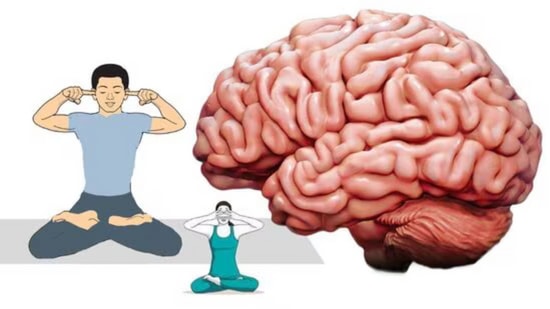 ಒತ್ತಡ, ಆತಂಕವನ್ನು ಕಡಿಮೆ ಮಾಡಲು ಸುಲಭವಾದ ಮಾರ್ಗವೆಂದರೆ ಭ್ರಮರಿ ಪ್ರಾಣಾಯಾಮ ಒತ್ತಡ, ಆತಂಕವನ್ನು ಕಡಿಮೆ ಮಾಡಲು ಸುಲಭವಾದ ಮಾರ್ಗವೆಂದರೆ ಭ್ರಮರಿ ಪ್ರಾಣಾಯಾಮ
