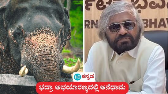 ಭದ್ರಾ ಅಭಯಾರಣ್ಯದಲ್ಲಿ ಆನೆ ಧಾಮ ಕಾಮಗಾರಿ ಇನ್ನು 2 ತಿಂಗಳಲ್ಲಿ ಶುರುವಾಗಲಿದೆ ಎಂದು ಅರಣ್ಯ ಸಚಿವ ಈಶ್ವರ ಖಂಡ್ರೆ ಹೇಳಿದರು, ಅವರು ಕಳೆದ ಡಿಸೆಂಬರದಲ್ಲಿ ಘೋಷಿಸಿದ್ದ ಯೋಜನೆ ಇದು. (ಸಾಂಕೇತಿಕ ಚಿತ್ರ) <p>ಭದ್ರಾ ಅಭಯಾರಣ್ಯದಲ್ಲಿ ಆನೆ ಧಾಮ ಕಾಮಗಾರಿ ಇನ್ನು 2 ತಿಂಗಳಲ್ಲಿ ಶುರುವಾಗಲಿದೆ ಎಂದು ಅರಣ್ಯ ಸಚಿವ ಈಶ್ವರ ಖಂಡ್ರೆ ಹೇಳಿದರು, ಅವರು ಕಳೆದ ಡಿಸೆಂಬರದಲ್ಲಿ ಘೋಷಿಸಿದ್ದ ಯೋಜನೆ ಇದು. (ಸಾಂಕೇತಿಕ ಚಿತ್ರ)</p>