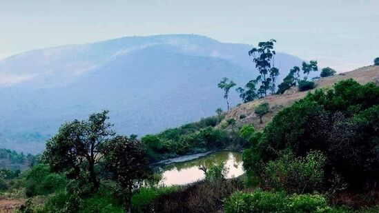 ಬೆಟ್ಟಕ್ಕೆ ಹೋಗುವ ಹತ್ತು ಕಿ.ಮಿ ಮಾರ್ಗ, ಬೆಟ್ಟ ಏರಿದ ನಂತರ ಸಿಗುವ ರಮಣೀಯ ಸೌಂದರ್ಯ ಎಂಥವರನ್ನು ಖುಷಿಗೊಳಿಸುತ್ತದೆ. ಈ ಬೆಟ್ಟವು ಧಾರ್ಮಿಕ ಮಹತ್ವವನ್ನು ಹೊಂದಿದೆ. ಬೆಟ್ಟಗಳ ಮೇಲಿನ ಬಯಲು ಪ್ರದೇಶಗಳು ಹಚ್ಚ ಹಸಿರಿನ ಹುಲ್ಲಿನಿಂದ ಆವೃತವಾಗಿದ್ದು, ಆನೆಗಳು, ಜಿಂಕೆಗಳು ಮತ್ತು ಮೊಲಗಳಿಗೆ ನೆಲೆಯಾಗಿದೆ, ಆದರೆ ಇಳಿಜಾರುಗಳು ದಟ್ಟವಾದ ಕಾಡುಗಳಿಂದ ಆವೃತವಾಗಿದ್ದು, ಹುಲಿ, ಆನೆ, ಚಿರತೆ ಸಹಿತ ಹಲವು ವನ್ಯಜೀವಿಗಳ ನೆಲೆವೀಡು. ಬೆಟ್ಟಕ್ಕೆ ಹೋಗುವ ಹತ್ತು ಕಿ.ಮಿ ಮಾರ್ಗ, ಬೆಟ್ಟ ಏರಿದ ನಂತರ ಸಿಗುವ ರಮಣೀಯ ಸೌಂದರ್ಯ ಎಂಥವರನ್ನು ಖುಷಿಗೊಳಿಸುತ್ತದೆ. ಈ ಬೆಟ್ಟವು ಧಾರ್ಮಿಕ ಮಹತ್ವವನ್ನು ಹೊಂದಿದೆ. ಬೆಟ್ಟಗಳ ಮೇಲಿನ ಬಯಲು ಪ್ರದೇಶಗಳು ಹಚ್ಚ ಹಸಿರಿನ ಹುಲ್ಲಿನಿಂದ ಆವೃತವಾಗಿದ್ದು, ಆನೆಗಳು, ಜಿಂಕೆಗಳು ಮತ್ತು ಮೊಲಗಳಿಗೆ ನೆಲೆಯಾಗಿದೆ, ಆದರೆ ಇಳಿಜಾರುಗಳು ದಟ್ಟವಾದ ಕಾಡುಗಳಿಂದ ಆವೃತವಾಗಿದ್ದು, ಹುಲಿ, ಆನೆ, ಚಿರತೆ ಸಹಿತ ಹಲವು ವನ್ಯಜೀವಿಗಳ ನೆಲೆವೀಡು.