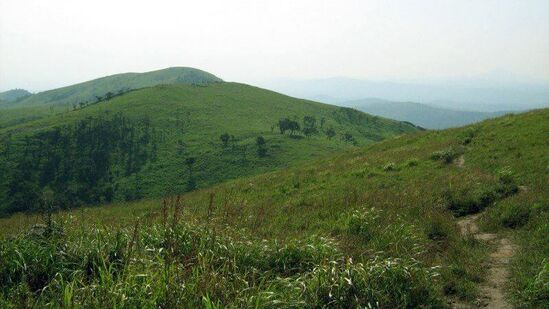 ಹಿಮವದ್ ಗೋಪಾಲಸ್ವಾಮಿ ಬೆಟ್ಟ ವು ಬಂಡೀಪುರ ರಾಷ್ಟ್ರೀಯ ಉದ್ಯಾನದ ಅತಿ ಎತ್ತರದ ಶಿಖರವಾಗಿದೆ. ಮೈಸೂರು ಜಿಲ್ಲೆಯ ಗುಂಡ್ಲುಪೇಟೆ ಬಳಿ ಇರುವ ಹಿಮವದ್ ಗೋಪಾಲಸ್ವಾಮಿ ಬೆಟ್ಟವು ವೇಣುಗೋಪಾಲಸ್ವಾಮಿ ದೇವಾಲಯ ಮತ್ತು ಹಚ್ಚ ಹಸಿರಿನಿಂದ ಕೂಡಿದ ನೈಸರ್ಗಿಕ ಪರಿಸರದಿಂದಾಗಿ ಪ್ರವಾಸಿಗರನ್ನು ಆಕರ್ಷಿಸುತ್ತದೆ. ಹಿಮವದ್ ಗೋಪಾಲಸ್ವಾಮಿ ಬೆಟ್ಟ ವು ಬಂಡೀಪುರ ರಾಷ್ಟ್ರೀಯ ಉದ್ಯಾನದ ಅತಿ ಎತ್ತರದ ಶಿಖರವಾಗಿದೆ. ಮೈಸೂರು ಜಿಲ್ಲೆಯ ಗುಂಡ್ಲುಪೇಟೆ ಬಳಿ ಇರುವ ಹಿಮವದ್ ಗೋಪಾಲಸ್ವಾಮಿ ಬೆಟ್ಟವು ವೇಣುಗೋಪಾಲಸ್ವಾಮಿ ದೇವಾಲಯ ಮತ್ತು ಹಚ್ಚ ಹಸಿರಿನಿಂದ ಕೂಡಿದ ನೈಸರ್ಗಿಕ ಪರಿಸರದಿಂದಾಗಿ ಪ್ರವಾಸಿಗರನ್ನು ಆಕರ್ಷಿಸುತ್ತದೆ.