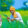 ಪಿಎಂ ಕಿಸಾನ್ 20ನೇ ಕಂತು ಈ ತಿಂಗಳು ಬಿಡುಗಡೆ ಸಾಧ್ಯತೆ: ಫಲಾನುಭವಿ ಸ್ಟೇಟಸ್, ಹೊಸ ಅರ್ಜಿ ಸಲ್ಲಿಸುವುದು ಹೇಗೆ?