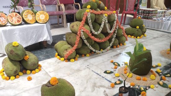 ಎಲ್ಲರ ಬಾಯಲ್ಲಿ ನೀರೂರಿಸುವ ಹಲಸು ಹಣ್ಣಿನ ಮೇಳಕ್ಕೆ ಮೊದಲ ದಿನವೇ ಹರಿದು ಬಂದ ಜನಸಾಗರ, ವಿವಿಧ ಬಗೆಯ ಹಲಸಿನ‌ಹಣ್ಣು ಹಾಗೂ ಹಲಸಿನ ಖಾದ್ಯಗಳನ್ನು ಖರೀದಿಸಲು ಮುಗಿಬಿದ್ದ ಜನ