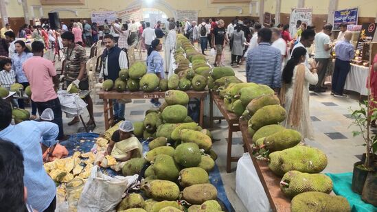 ಮೈಸೂರಿನ ನಂಜರಾಜ ಬಹದ್ದೂರು ಛತ್ರದಲ್ಲಿ ಆರಂಭಗೊಂಡ ಹಲಸಿನಮೇಳ. ಮೈಸೂರಿನ ನಂಜರಾಜ ಬಹದ್ದೂರು ಛತ್ರದಲ್ಲಿ ಆರಂಭಗೊಂಡ ಹಲಸಿನಮೇಳ.