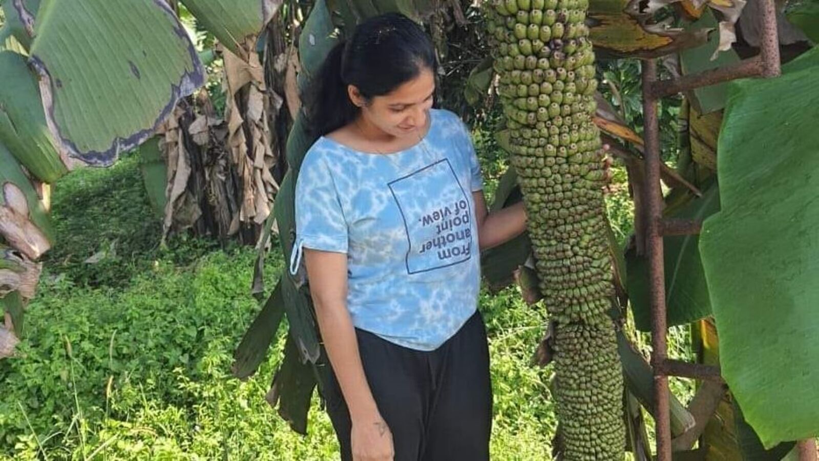 ಭಾರತದಲ್ಲಿ ಬಾಳೆ ಹಣ್ಣು ಬೆಳೆಯುವ ಟಾಪ್‌ 10 ರಾಜ್ಯಗಳು ಯಾವು, ಕರ್ನಾಟಕಕ್ಕೆ ಎಷ್ಟನೇ ಸ್ಥಾನ