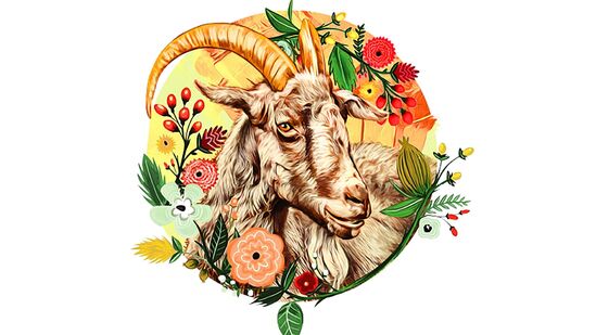 ಮಕರ ರಾಶಿ: ವ್ಯವಹಾರದಲ್ಲಿನ ಸಣ್ಣ ಅಡೆತಡೆಗಳನ್ನು ನಿವಾರಿಸಿಕೊಳ್ಳುತ್ತೀರಿ. ಎಲ್ಲರಲ್ಲೂ ಗೌರವಕ್ಕೆ ಪಾತ್ರರಾಗುತ್ತೀರಿ. ಹಣಕಾಸಿನ ವಿಷಯಗಳು ತೃಪ್ತಿಕರವಾಗಿರುತ್ತವೆ. ಮನೆ ನಿರ್ಮಾಣದ ಬಗ್ಗೆ ಅಂತಿಮ ನಿರ್ಧಾರಗಳನ್ನು ತೆಗೆದುಕೊಳ್ಳಲಾಗುತ್ತದೆ. ವಿದ್ಯಾರ್ಥಿಗಳಿಗೆ ವಿದೇಶಿ ಶಿಕ್ಷಣದ ಅವಕಾಶಗಳು ದೊರೆಯಲಿವೆ. ವ್ಯವಹಾರಗಳು ಹಿಂದಿನ ದಿನಕ್ಕಿಂತ ಸ್ವಲ್ಪ ಚೇತರಿಸಿಕೊಳ್ಳುತ್ತವೆ. ಕೆಲಸದಲ್ಲಿ ಹೊಸ ಕರ್ತವ್ಯಗಳನ್ನು ಸೇರಬಹುದು. ರಾಜಕೀಯ ಪಕ್ಷಗಳು ಕೆಲವು ಹುದ್ದೆಗಳನ್ನು ಅಲಂಕರಿಸುವ ಸಾಧ್ಯತೆ ಇದೆ. ಆರೋಗ್ಯ ಸಮಸ್ಯೆಗಳು ಇರುತ್ತವೆ. ಗುಲಾಬಿ, ತಿಳಿ ಹಸಿರು ಅದೃಷ್ಟದ ಬಣ್ಣಗಳು. ದೇವಿ ಖಡ್ಗಮಾಲಾ ಪಠಿಸಿ. ಮಕರ ರಾಶಿ: ವ್ಯವಹಾರದಲ್ಲಿನ ಸಣ್ಣ ಅಡೆತಡೆಗಳನ್ನು ನಿವಾರಿಸಿಕೊಳ್ಳುತ್ತೀರಿ. ಎಲ್ಲರಲ್ಲೂ ಗೌರವಕ್ಕೆ ಪಾತ್ರರಾಗುತ್ತೀರಿ. ಹಣಕಾಸಿನ ವಿಷಯಗಳು ತೃಪ್ತಿಕರವಾಗಿರುತ್ತವೆ. ಮನೆ ನಿರ್ಮಾಣದ ಬಗ್ಗೆ ಅಂತಿಮ ನಿರ್ಧಾರಗಳನ್ನು ತೆಗೆದುಕೊಳ್ಳಲಾಗುತ್ತದೆ. ವಿದ್ಯಾರ್ಥಿಗಳಿಗೆ ವಿದೇಶಿ ಶಿಕ್ಷಣದ ಅವಕಾಶಗಳು ದೊರೆಯಲಿವೆ. ವ್ಯವಹಾರಗಳು ಹಿಂದಿನ ದಿನಕ್ಕಿಂತ ಸ್ವಲ್ಪ ಚೇತರಿಸಿಕೊಳ್ಳುತ್ತವೆ. ಕೆಲಸದಲ್ಲಿ ಹೊಸ ಕರ್ತವ್ಯಗಳನ್ನು ಸೇರಬಹುದು. ರಾಜಕೀಯ ಪಕ್ಷಗಳು ಕೆಲವು ಹುದ್ದೆಗಳನ್ನು ಅಲಂಕರಿಸುವ ಸಾಧ್ಯತೆ ಇದೆ. ಆರೋಗ್ಯ ಸಮಸ್ಯೆಗಳು ಇರುತ್ತವೆ. ಗುಲಾಬಿ, ತಿಳಿ ಹಸಿರು ಅದೃಷ್ಟದ ಬಣ್ಣಗಳು. ದೇವಿ ಖಡ್ಗಮಾಲಾ ಪಠಿಸಿ.