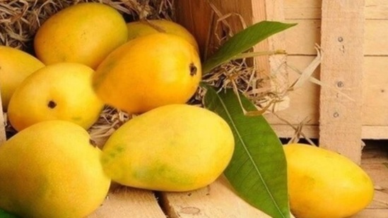 ಇಲ್ಲಿ ಮಾವಿನ ಜಾಮ್ ಪಾಕವಿಧಾನವನ್ನು ನೀಡಲಾಗಿದೆ. ಅದನ್ನು ತಯಾರಿಸಲು ನೀವು ತುಂಬಾ ಕಷ್ಟಪಡಬೇಕಾಗಿಲ್ಲ. ಮನೆಯಲ್ಲೇ ಕೇವಲ ಮೂರು ಪದಾರ್ಥಗಳಿಂದ ಮಾವಿನ ಹಣ್ಣಿನ ಜಾಮ್ ತಯಾರಿಸಬಹುದು.ಅದನ್ನು ಎರಡರಿಂದ ಮೂರು ತಿಂಗಳವರೆಗೆ ಸಂಗ್ರಹಿಸಲಾಗುತ್ತದೆ. ಬ್ರೆಡ್ ಮೇಲೆ ಮಾವಿನ ಜಾಮ್ ಹಚ್ಚಿ ತಿನ್ನುವುದು ಬಹಳ ರುಚಿಕರವಾಗಿರುತ್ತದೆ. ಮಾವಿನ ಹಣ್ಣಿನ ಜಾಮ್ ತಯಾರಿಸುವುದು ಹೇಗೆ ಅನ್ನೋದನ್ನು  ಇಲ್ಲಿ ತಿಳಿದುಕೊಳ್ಳಿ.