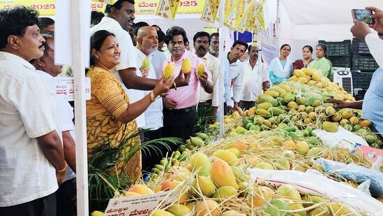 ಕೊಪ್ಪಳದಲ್ಲಿ ಆರಂಭಗೊಂಡಿರುವ ತೋಟಗಾರಿಕೆ ಮೇಳದಲ್ಲಿ ಬಗೆಬಗೆಯ ಮಾವುಗಳು.