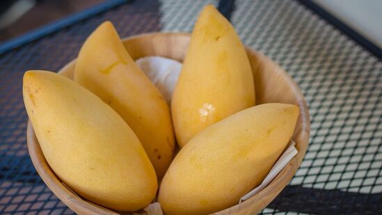 ಇಷ್ಟೆಲ್ಲಾ ಪ್ರಯೋಜನಗಳಿವೆ ಎಂದು ಮಾವಿನ ಹಣ್ಣನ್ನು ಅತಿಯಾಗಿ ತಿನ್ನುವುದು ಕೂಡ ಸರಿಯಲ್ಲ. ನಿಯಮಿತವಾಗಿ ಮಾವಿನ ಹಣ್ಣು ತಿನ್ನುವುದರಿಂದ ನಮ್ಮ ಒಟ್ಟಾರೆ ಆರೋಗ್ಯ ಸುಧಾರಿಸುತ್ತದೆ. ಇಷ್ಟೆಲ್ಲಾ ಪ್ರಯೋಜನಗಳಿವೆ ಎಂದು ಮಾವಿನ ಹಣ್ಣನ್ನು ಅತಿಯಾಗಿ ತಿನ್ನುವುದು ಕೂಡ ಸರಿಯಲ್ಲ. ನಿಯಮಿತವಾಗಿ ಮಾವಿನ ಹಣ್ಣು ತಿನ್ನುವುದರಿಂದ ನಮ್ಮ ಒಟ್ಟಾರೆ ಆರೋಗ್ಯ ಸುಧಾರಿಸುತ್ತದೆ.